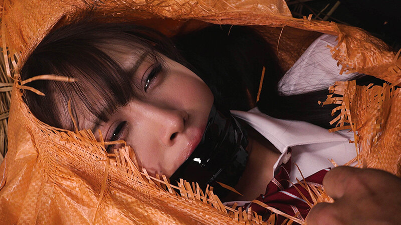 【50％OFFキャンペーン第1弾】 【独占】 【準新作】 〆豚小屋 女体家畜PLANT 天音かんな 003